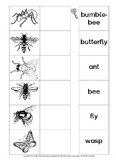 AB-animals-Zuordnung 4.pdf